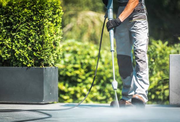 Best Rust Removal  in Fort Meade, FL